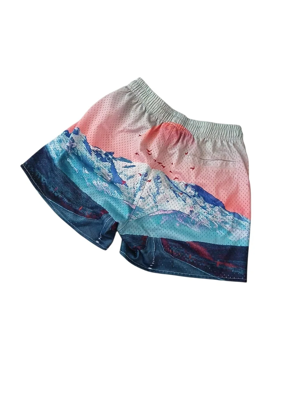YoungLA 150 After Party Mystic Mountain Mesh Shorts Small Men